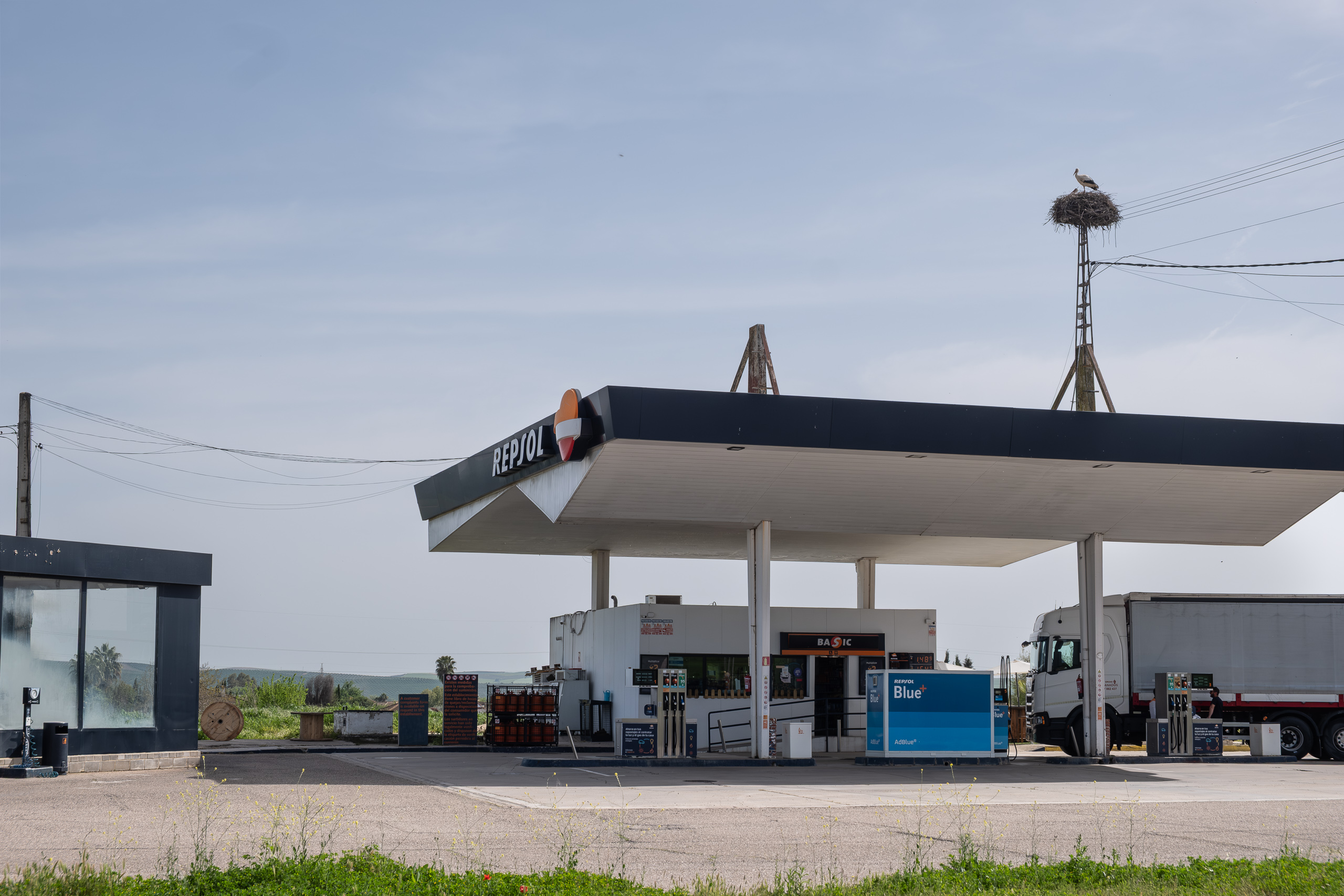 Storch auf dem Nest an der Repsol-Tankstelle